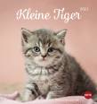 Kleine Tiger 2021 Katzen Postkartenkalender 