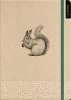  myNOTES Notizbuch A5: Eichhörnchen Notebook medium, gepunktet  