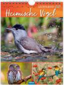 Trötsch Wochenkalender zum Hängen Heimische Vögel 2024 