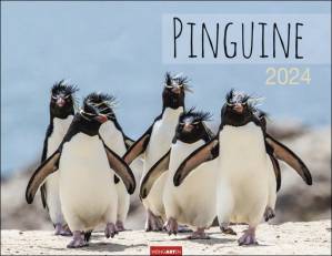 Pinguine 2024 