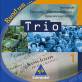 Rund um ...Trio 1 - Erdkunde - Wirtschaftskunde - Gemeinschaftskunde