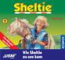 Sheltie, Band 1: Wie Sheltie zu uns kam Das Hörspiel zum Buch