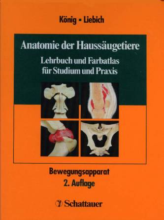Anatomie der Haussäugetiere Bd 1: Bewegungsapparat Lehrbuch und Farbatlas für Studium und Praxis