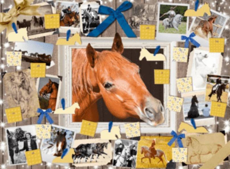 Pferde - Der Adventskalender