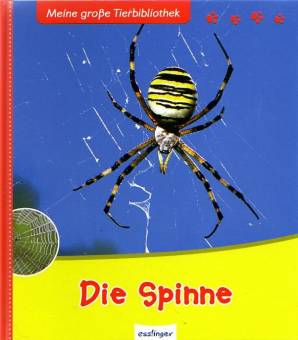 Die Spinne
