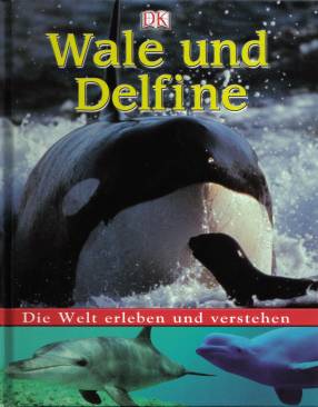 Wale und Delfine Die Welt erleben und verstehen
