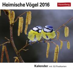 Heimische Vögel 2016