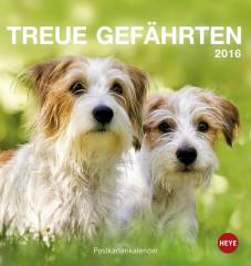 Treue Gefährten 2016 Hunde Postkartenkalender