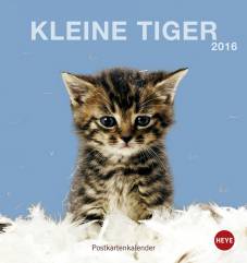Kleine Tiger 2016 Postkartenkalender