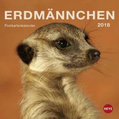 Erdmännchen Postkartenkalender - Kalender 2018
