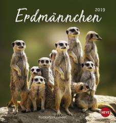 Erdmännchen Postkartenkalender 2019