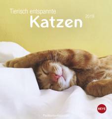 Tierisch entspannte Katzen Postkartenkalender 2019
