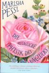 Die alltägliche Physik des Unglücks - 