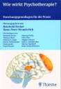 Wie wirkt Psychotherapie? - Forschungsgrundlagen für die Praxis