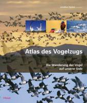 Atlas des Vogelzugs  - Die Wanderung der Vögel auf unserer Erde