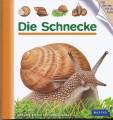 Die Schnecke - 