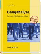 Ganganalyse -