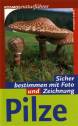 Pilze - Sicher bestimmen mit Foto und Zeichnung