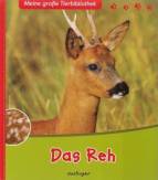 Das Reh - 