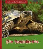 Die Schildkr&ouml;te