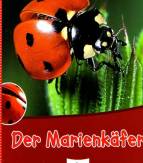 Der Marienkäfer  - 