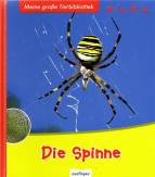 Die Spinne