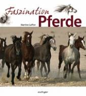 Faszination Pferde - 