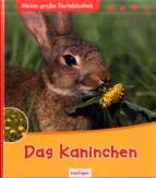 Das Kaninchen