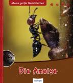 Die Ameise - 