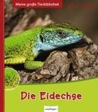Die Eidechse - 