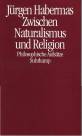 Zwischen Naturalismus und Religion - Philosophische Aufsätze