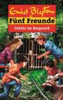 Fünf Freunde- Gefahr im Bergwerk -