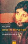 Jesus im Zerrspiegel  - Die verborgenen Widersprüche in der Bibel und warum es sie gibt