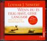 Wenn Du es eilig hast, gehe langsam, 2 Audio-CDs - Mehr Zeit in einer beschleunigten Welt