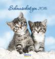  Schmusekatzen, Postkartenkalender Korsch Verlag 2016 - 