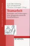 Teamarbeit - Konzepte und Erfahrungen – eine gruppendynamische Zwischenbilanz