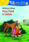 Pony Fleck in Gefahr - 