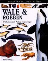 Wale und Robben - Die faszinierende Welt der Meeressäuger
