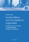 Soziale Milieus und Kriminalität im Jugendalter - Eine Untersuchung von Werte- und Musiktypologien in Münster und Duisburg