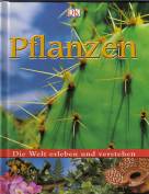 Pflanzen - 