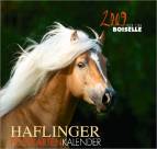 Haflinger - Postkartenkalender