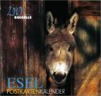 Esel - Postkartenkalender