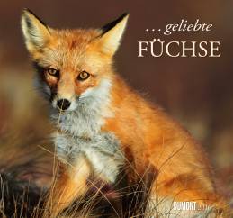 geliebte Kalender 2016 ... geliebte Füchse - 