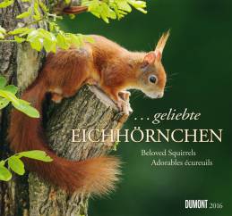  geliebte Kalender 2016 ... geliebte Eichhörnchen - 