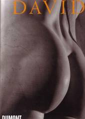 Michelangelos David - Vom Symbol zum Mythos