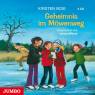 Geheimnis im Möwenweg - 