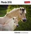 Pferde 2016 - 