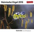 Heimische V&ouml;gel 2016: Kalender mit 53 Postkarten