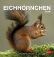 Eichhörnchen Postkartenkalender 2016 - 