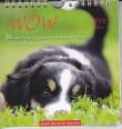 Postkartenkalender - WOW 2013 -